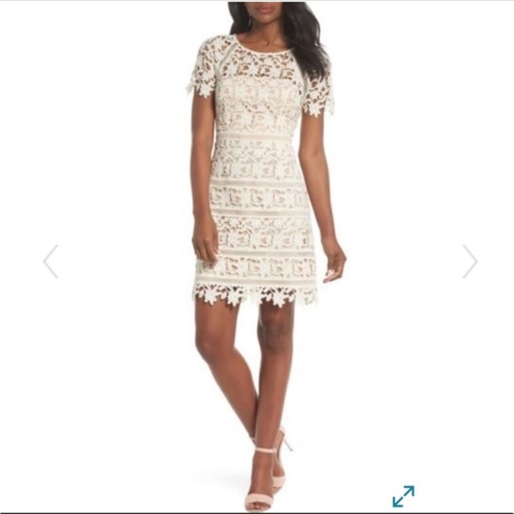 eliza j lace overlay dress Eliza J Embroidered Lace Overlay Cocktail Dress In Slate